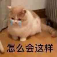 小白必看文章：VPN的意思