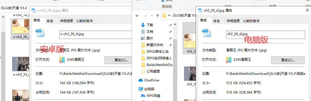 压缩包类型：小白指导
