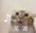 小白必看文章：VPN的意思