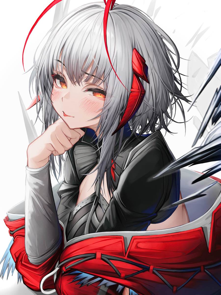小白必看