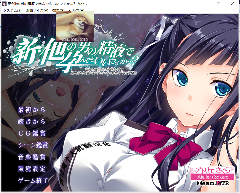 【ADV/汉化/绿帽】新·其他男人的O液真的可以用来造宝宝吗？1~3云汉化版 [安卓+PC]【3.5G】