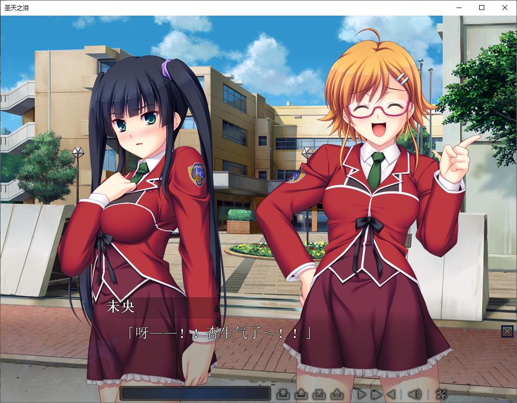 【拔作ADV/中文/CV】圣天之泪：惨遭背刺的天使 官中步兵版 【新作/7.7G】