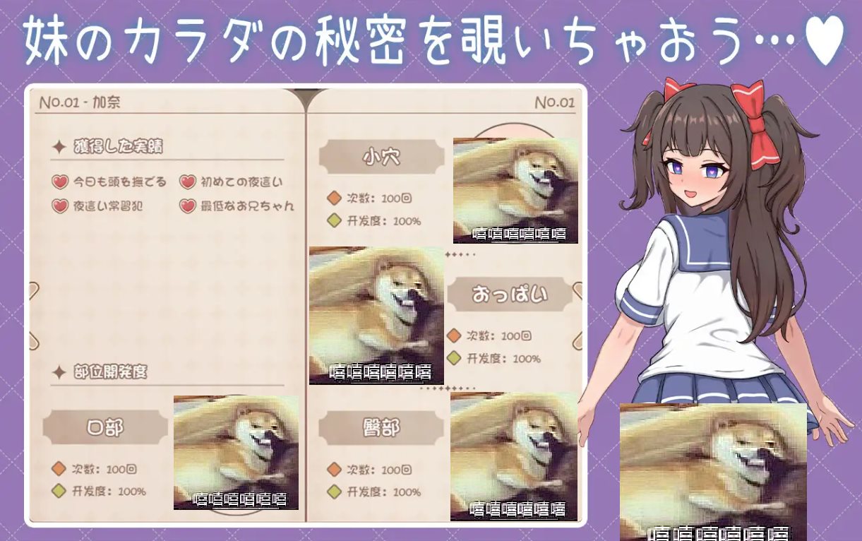 【养成SLG/中文/动态】与傲娇妹妹的治愈日常 DL中文版【新作/1.1G】