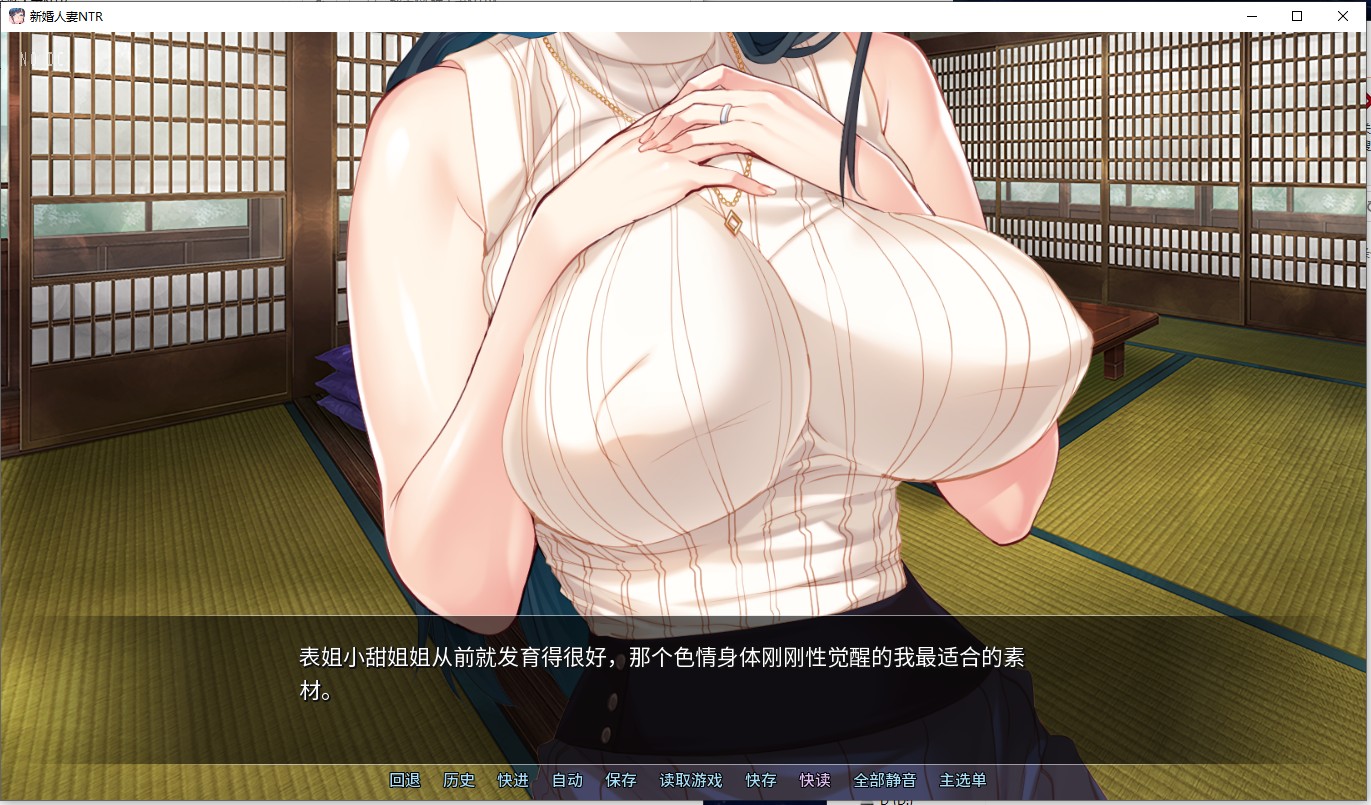 【ADV/中文】新婚人妻NTR 官方中文版 全CG存档【960M】