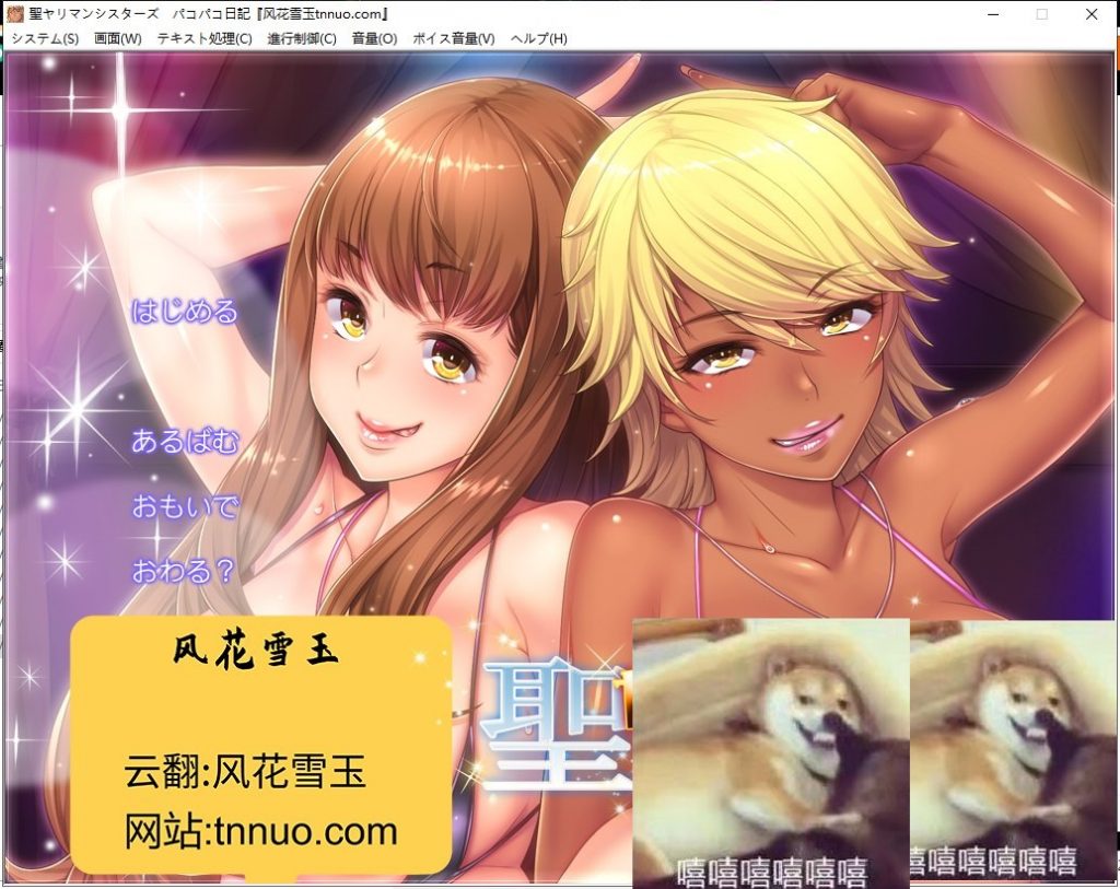 【拔作ADV/汉化】小恶魔双胞胎姐妹的合宿日记 云汉化版+CG+动画汉化版【新汉化/1G】
